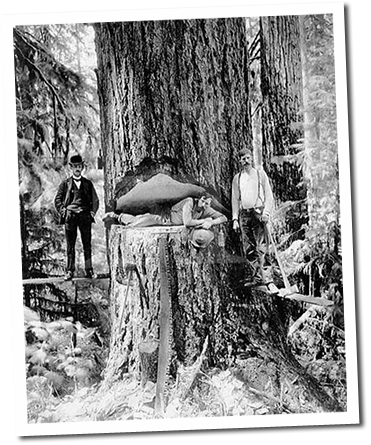 Old-Timey Lumberjacks